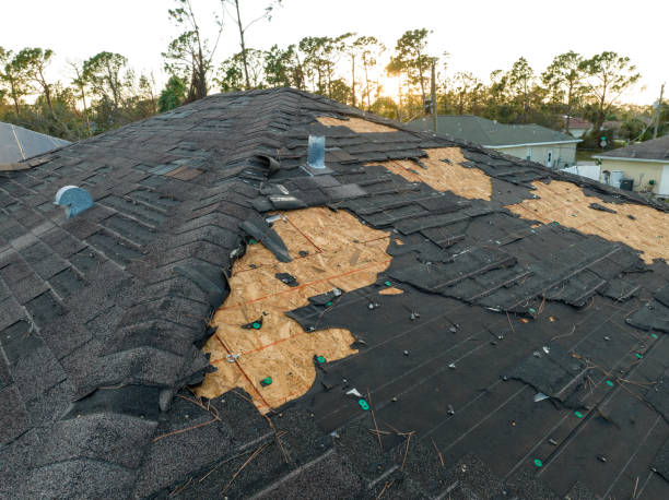 Best Emergency Roof Repair Services  in Huntertown, IN